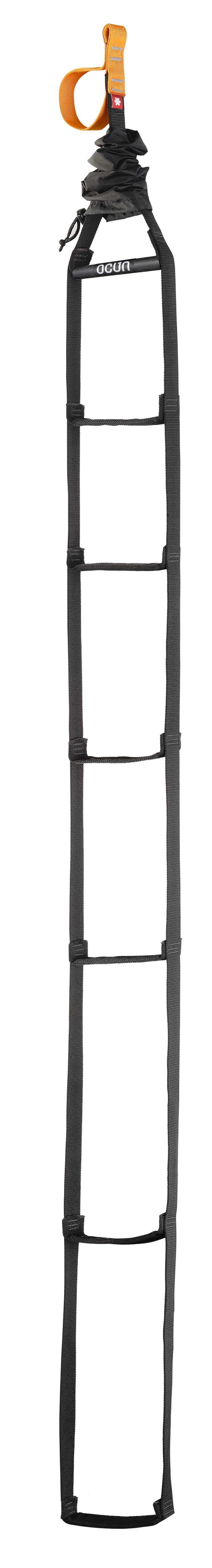 LADDER H step