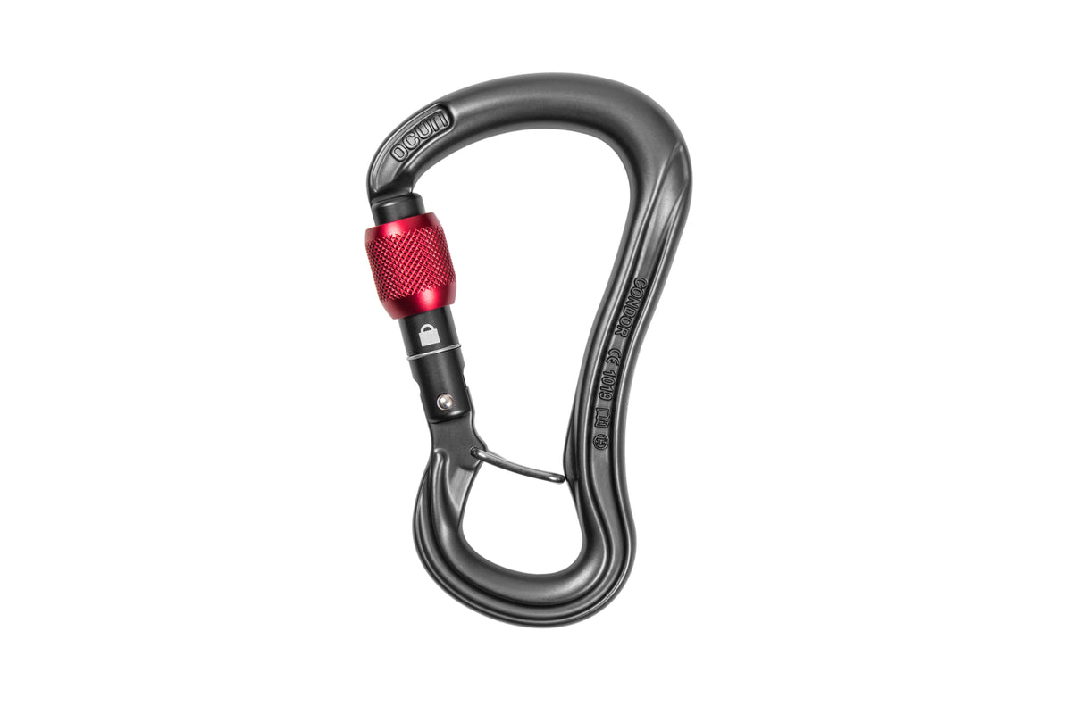 CONDOR HMS SCREW