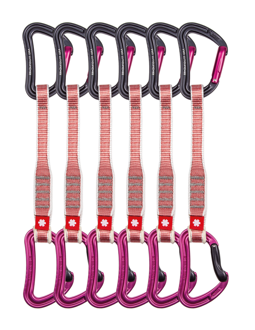 RAVEN QD ZOOM 20 cm 6-pack